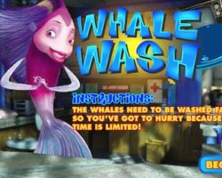 whale wash