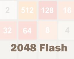 2048 flash