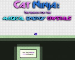 cat Ninja