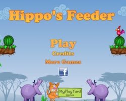 hippo feeder