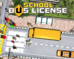 School Bus License