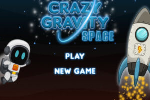 Crazy Gravity Game