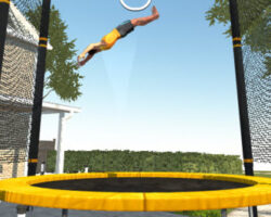 Flip Master