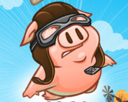 When Hogs Fly